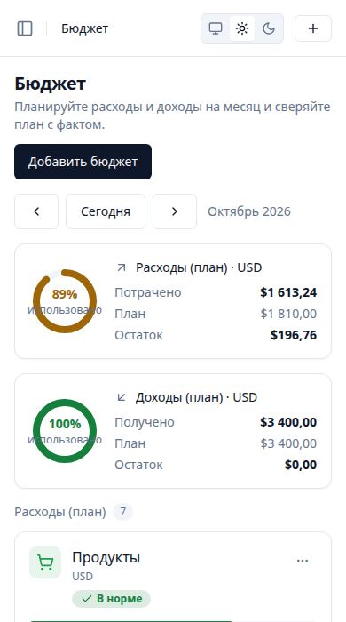 Скриншот: Бюджет